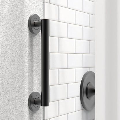 Bath, Shower and Toilet Safety Grab Bar for Seniors and Handicaps, ADA Compliant Mobility Aid Balance Assist Handle, Stainless Steel
