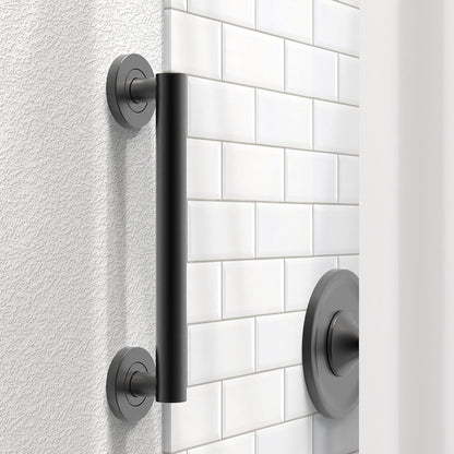 Bath, Shower and Toilet Safety Grab Bar for Seniors and Handicaps, ADA Compliant Mobility Aid Balance Assist Handle, Stainless Steel